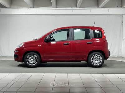 Fiat Pandina 1.0 FireFly Hybrid Icon Rosso usata Montagna in Valtellina