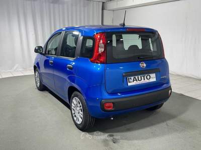 Fiat Pandina 1.0 FireFly Hybrid Blu/Azzurro usata Montagna in Valtellina