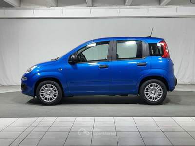 Fiat Pandina 1.0 FireFly Hybrid Blu/Azzurro usata Montagna in Valtellina