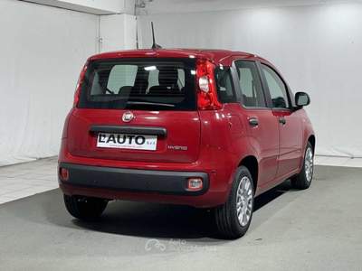 Fiat Pandina 1.0 FireFly Hybrid Rosso usata Montagna in Valtellina
