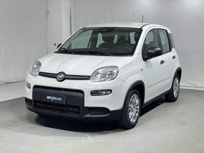 Fiat Pandina 1.0 FireFly Hybrid Bianco usata Montagna in Valtellina