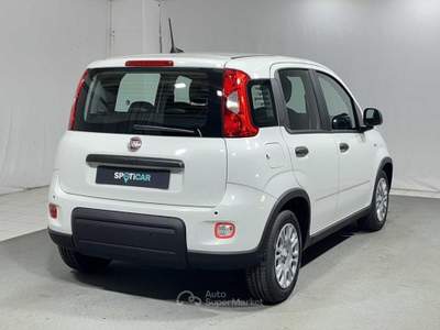 Fiat Pandina 1.0 FireFly Hybrid Bianco usata Montagna in Valtellina