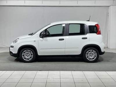 Fiat Pandina 1.0 FireFly Hybrid Bianco usata Montagna in Valtellina