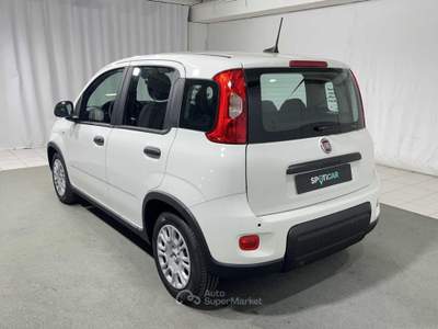 Fiat Pandina 1.0 FireFly Hybrid Bianco usata Montagna in Valtellina