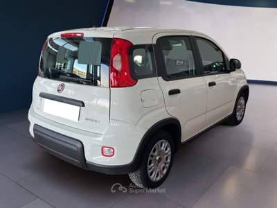 Fiat Panda III 2021 1.0 firefly hybrid s&s 70cv Bianco usata Torino