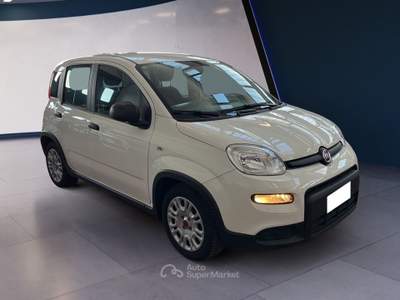 Fiat Panda III 2021 1.0 firefly hybrid s&s 70cv Bianco usata Torino