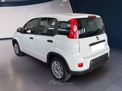 Fiat Panda III 2021 1.0 firefly hybrid s&s 70cv Bianco usata Torino
