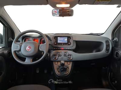 Fiat Panda III 2021 1.0 firefly hybrid s&s 70cv Bianco usata Torino