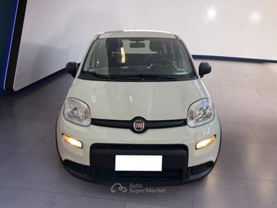 Fiat Panda III 2021 1.0 firefly hybrid s&s 70cv Bianco usata Torino