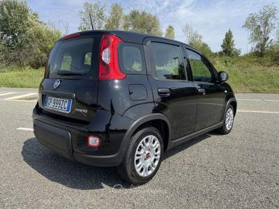 Fiat Panda 1.0 firefly hybrid s&s 70cv 5p.ti GARANZ Ufficiale usata Orbassano