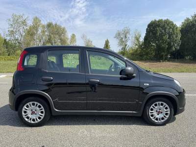 Fiat Panda 1.0 firefly hybrid s&s 70cv 5p.ti GARANZ Ufficiale usata Orbassano