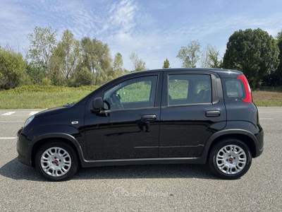 Fiat Panda 1.0 firefly hybrid s&s 70cv 5p.ti GARANZ Ufficiale usata Orbassano