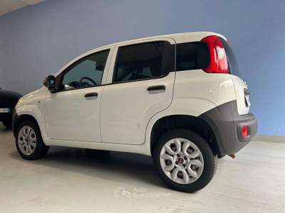 Fiat Panda 900CC NATURAL POWER POP Bianco usata Pove del Grappa