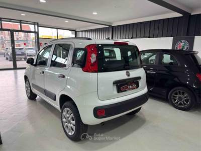 Fiat Panda Turbo Natural Power Lounge Bianco usata Torino