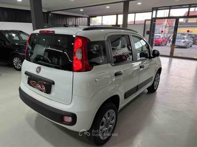 Fiat Panda Turbo Natural Power Lounge Bianco usata Torino