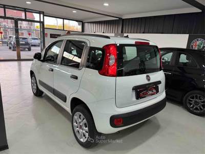 Fiat Panda Turbo Natural Power Lounge Bianco usata Torino