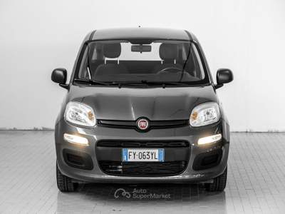 Fiat Panda 1.2 Easy Grigio usata Prato