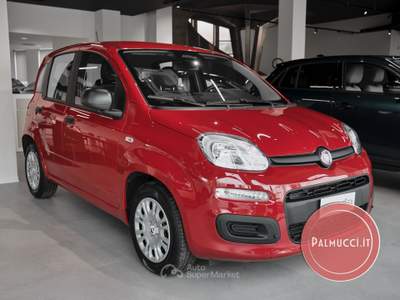 Fiat Pandina Pandina 1.0 FireFly 65 CV Hybrid Pop usata Prato