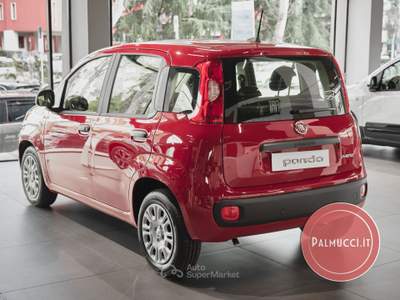 Fiat Pandina Pandina 1.0 FireFly 65 CV Hybrid Pop usata Prato