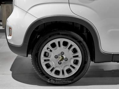Fiat Panda 1.0 FireFly S&S Hybrid CON IMPIANTO GPL usata Prato