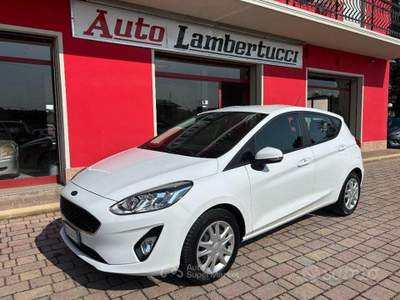 Ford Fiesta EcoBlue 5 porte Business usata San Ginesio