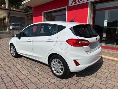 Ford Fiesta EcoBlue 5 porte Business usata San Ginesio
