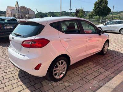 Ford Fiesta EcoBlue 5 porte Business usata San Ginesio