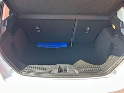 Ford Fiesta EcoBlue 5 porte Business usata San Ginesio