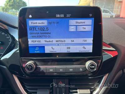 Ford Fiesta EcoBlue 5 porte Business usata San Ginesio