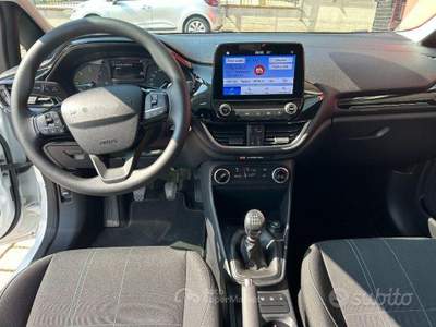 Ford Fiesta EcoBlue 5 porte Business usata San Ginesio