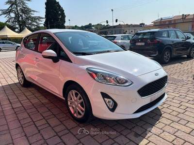 Ford Fiesta EcoBlue 5 porte Business usata San Ginesio