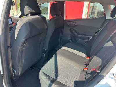 Ford Fiesta EcoBlue 5 porte Business usata San Ginesio