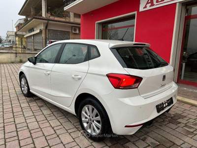 Seat Ibiza 5 porte Business usata San Ginesio