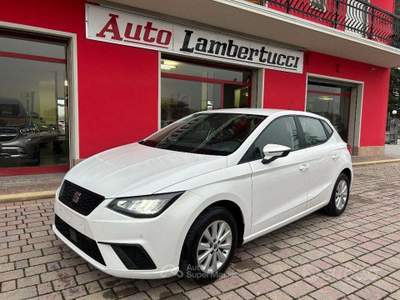 Seat Ibiza 5 porte Business usata San Ginesio