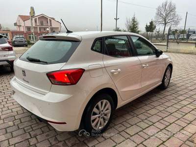 Seat Ibiza 5 porte Business usata San Ginesio