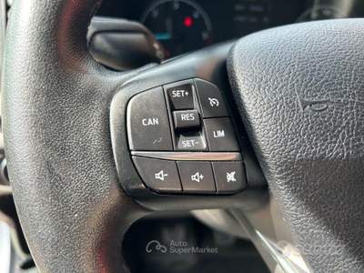 Ford Transit 310 2.0TDCi EcoBlue MHEV 130CV PM-T usata San Ginesio