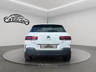 Citroen C4 Cactus BlueHDi 120 S&S EAT6 Shine Bianco usata Maniace