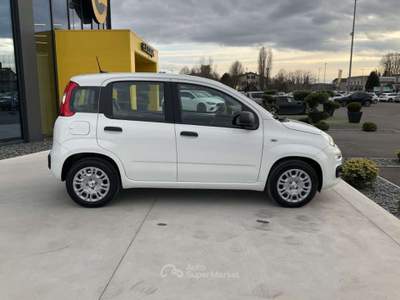 Fiat Panda 1.0 FireFly S&S Hybrid Bianco usata Pieve di Cento