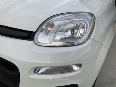 Fiat Panda 1.0 FireFly S&S Hybrid Bianco usata Pieve di Cento