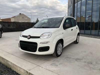 Fiat Panda 1.0 FireFly S&S Hybrid Bianco usata Pieve di Cento