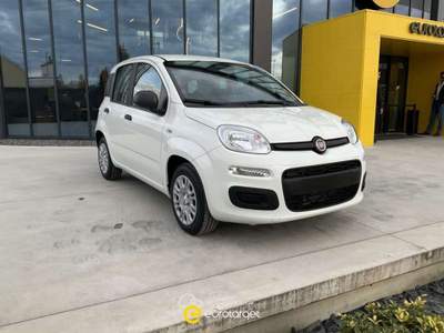 Fiat Panda 1.0 FireFly S&S Hybrid Bianco usata Pieve di Cento