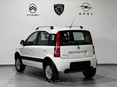 Fiat Panda II 2003 1.3 mjt 16v Climbing 4x4 75cv Bianco usata Alessandria