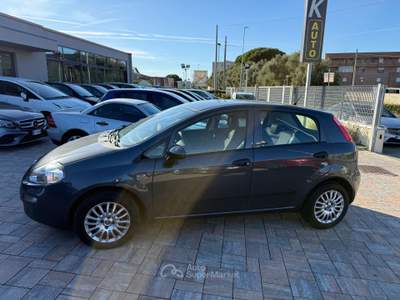 Fiat Punto anche per neopatentati usata Cascina