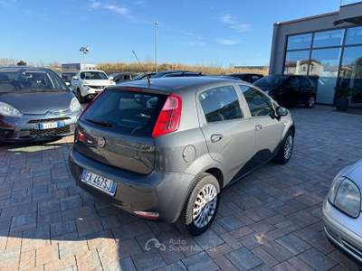 Fiat Punto anche per neopatentati usata Cascina