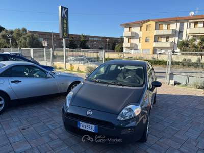 Fiat Punto anche per neopatentati usata Cascina
