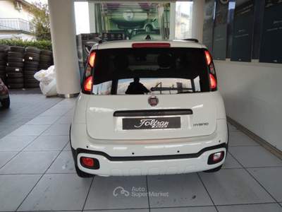 Fiat Panda 1.0 FireFly Hybrid Bianco usata Venezia