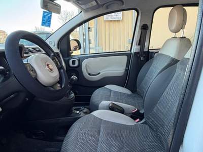 Fiat Panda PANDA 4X4 Bianco usata Sant'Antimo