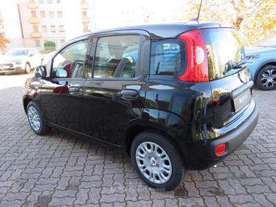 Fiat Pandina 1.0 FireFly 65cv S&S 6m Hybrid Icon Nero usata Seregno