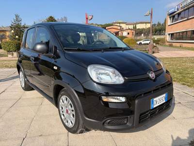 Fiat Panda 1.0 FireFly 70cv S&S Hybrid Nero usata Affi