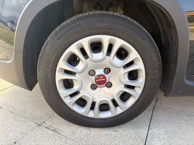 Fiat Panda 1.0 FireFly 70cv S&S Hybrid Nero usata Affi
